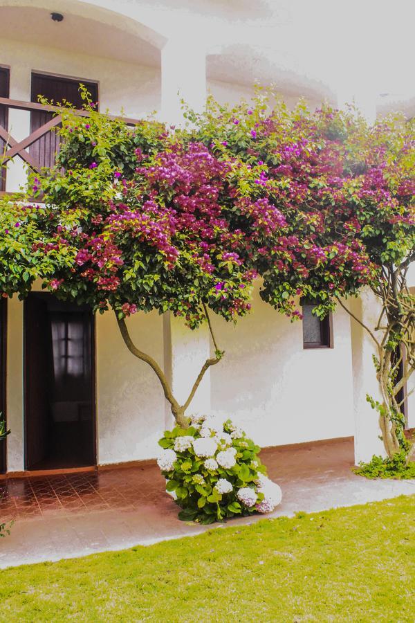 Hotel Del Diablo Punta Del Diablo Buitenkant foto
